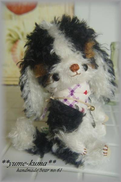 **yume-kuma**ハンドメイド＊トライカラーのキャバリアchan*no62_1