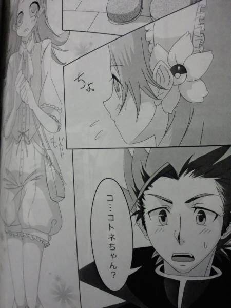 ポケモンhgss同人誌 Sucre Girl コトネ受けアンソロジー本 ロールプレイング 売買されたオークション情報 Yahooの商品情報をアーカイブ公開 オークファン Aucfan Com