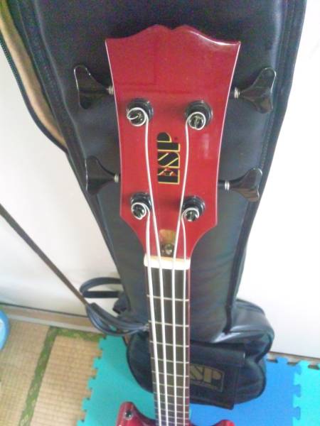 LUNA SEA Jモデル ESP- J-TVB-2(ESP)｜売買されたオークション情報