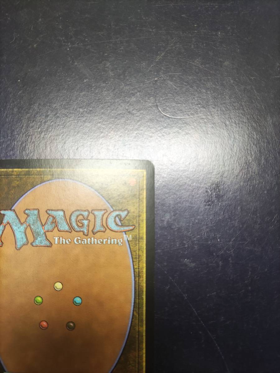 大人気，大得価 《MTG》 思案　日本語版foil　１枚