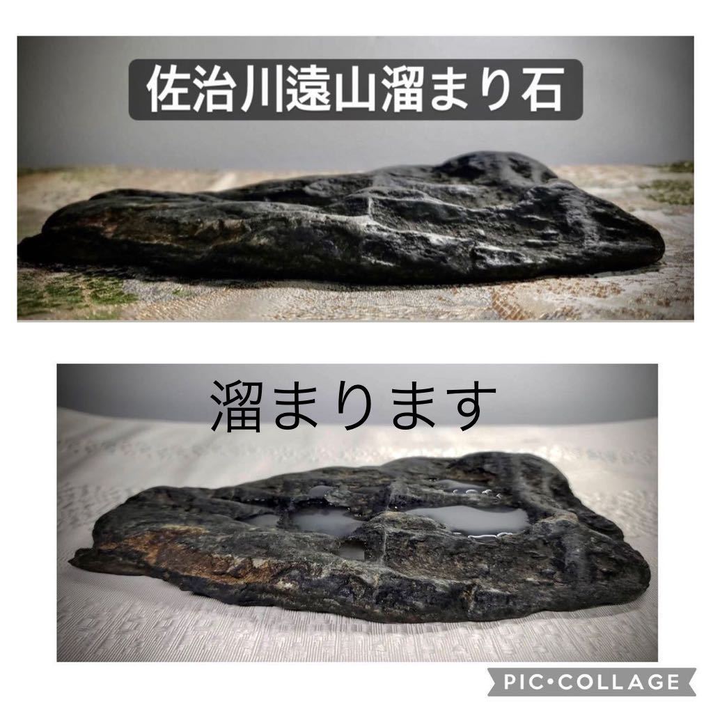 ウブ 盆栽 信濃美術石博物館水石 | 佐治川石 銘 横13.5×高6 水石 羊蹄