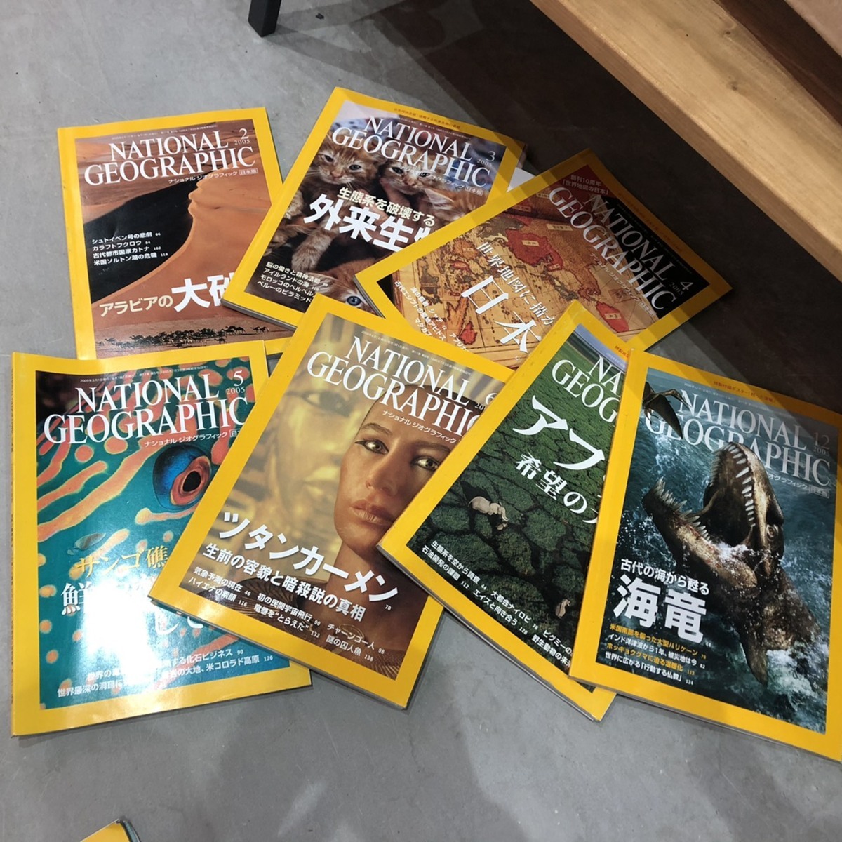 ナショナル ジオグラフィック 日本版 01 05年 29冊セット まとめて ドキュメンタリー 売買されたオークション情報 Yahooの商品情報をアーカイブ公開 オークファン Aucfan Com