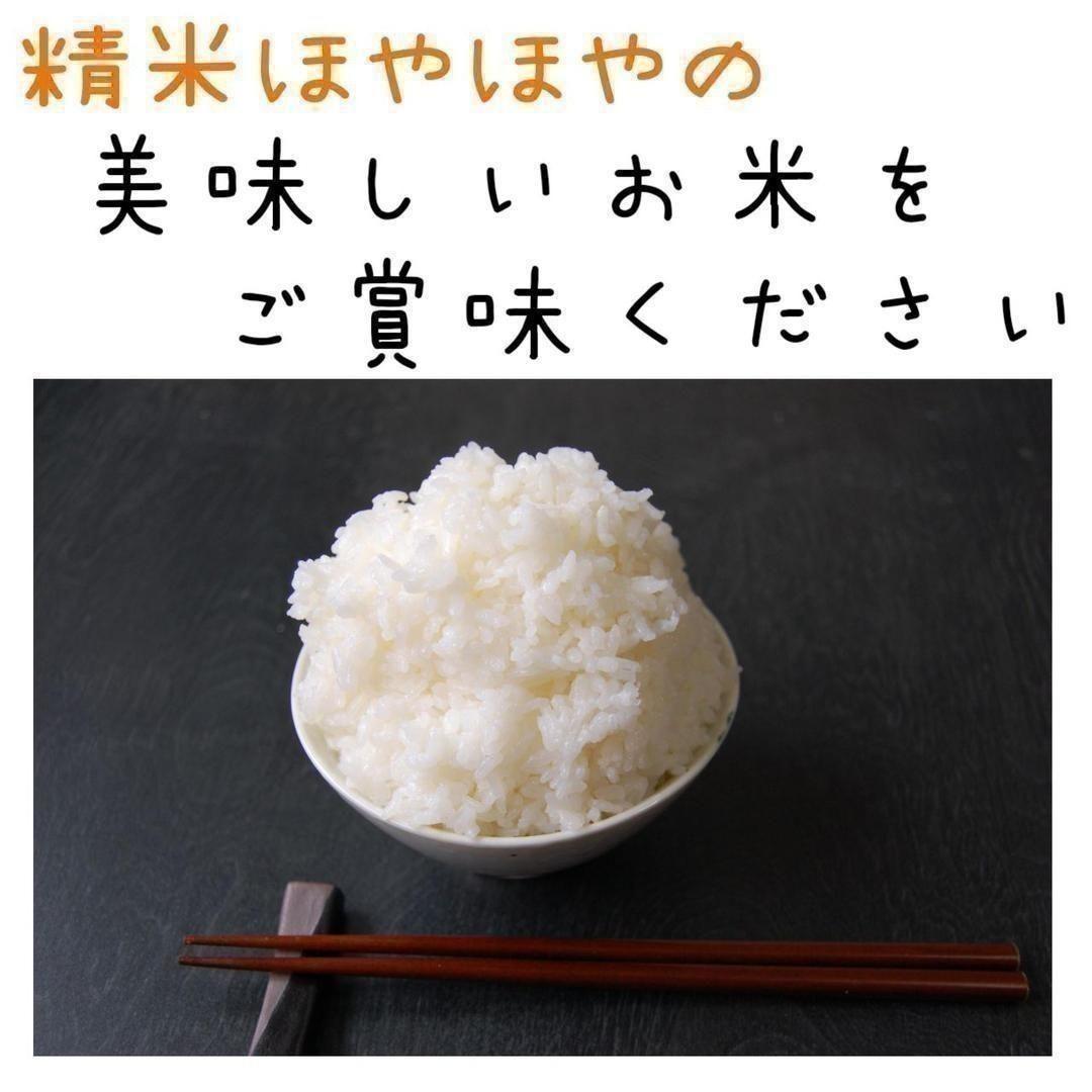 特別セール！玄米限定 令和3年 埼玉県産コシヒカリ 玄米 30kg 美味しい 