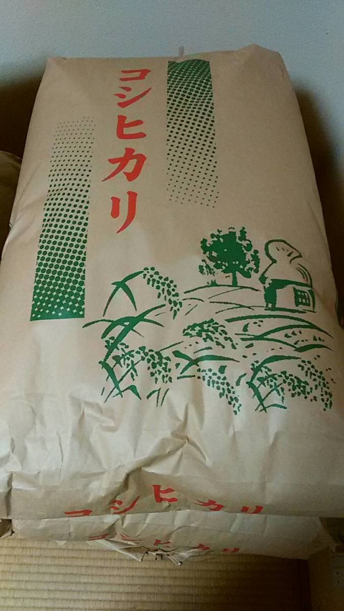 コシヒカリ 新米 30kg | 玄米 米 令和7年産 : 精米 白米 令和7年