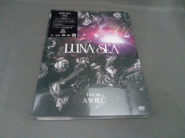 LUNA on A Live SEA WILL MUSIC ルナシー LIVE ルナシーDVD 公式