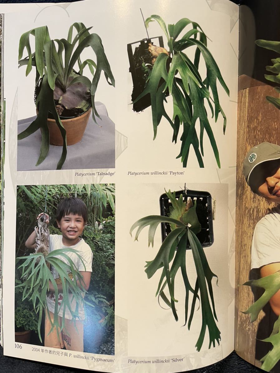 2025年3月 台湾 ビカクシダ育成・品種ガイド本 「鹿角蕨日記簿」新品未