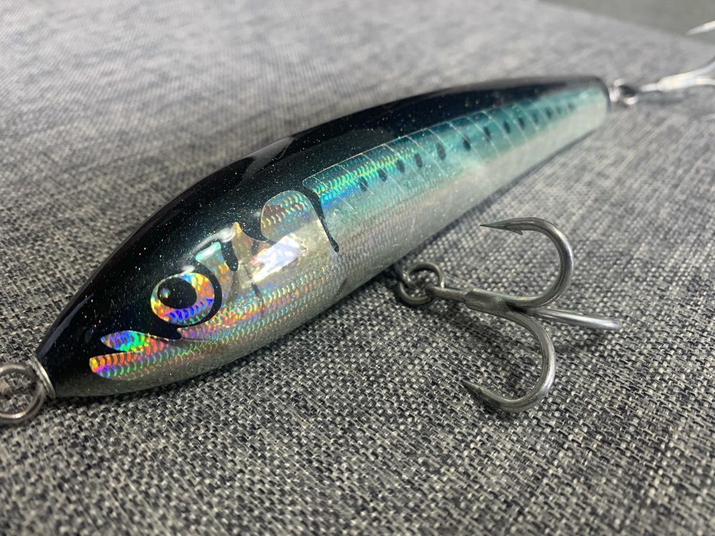 カーペンター カーペンターブルーフィッシュ60-170