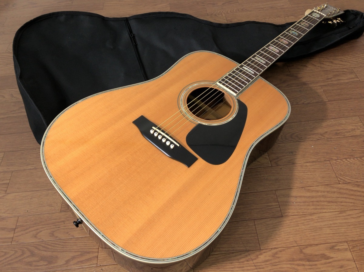 C112Y018●MORRIS TF-815 ネック折れ補修 アコースティックギター_1