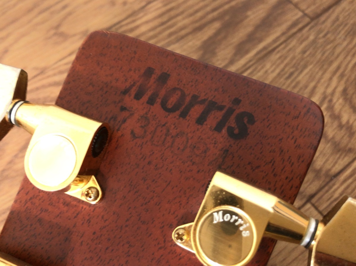 C112Y018●MORRIS TF-815 ネック折れ補修 アコースティックギター_7