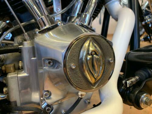 Shovelhead Brass Timing Points ポイントカバー USA | - com: Evo Harley Cover in Made Hole 真鍮
