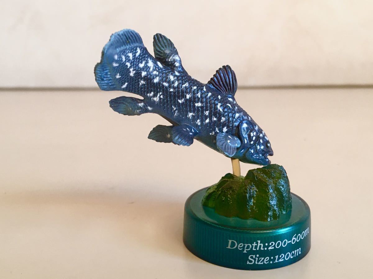 深海生物 シーラカンス ボトルキャップ フィギュアコレクション 古代魚 生きた化石 生き物 売買されたオークション情報 Yahooの商品情報をアーカイブ公開 オークファン Aucfan Com
