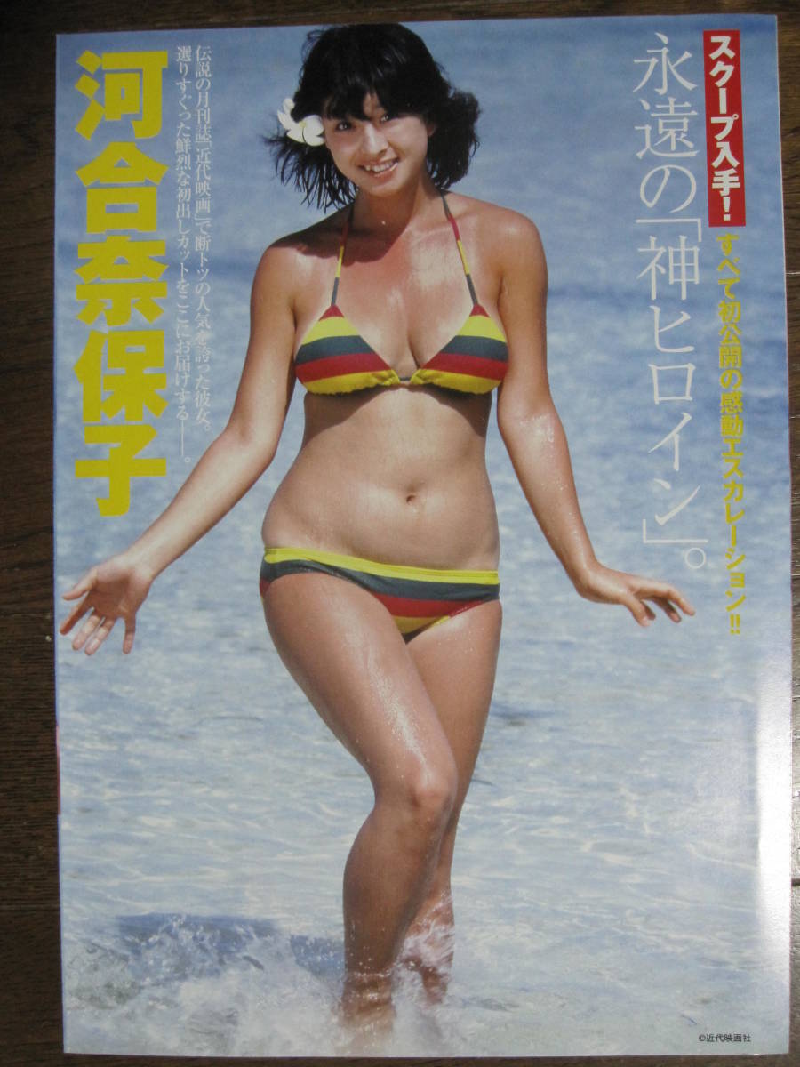 付録写真集 河合奈保子 (アイドル、芸能人)｜売買されたオークション