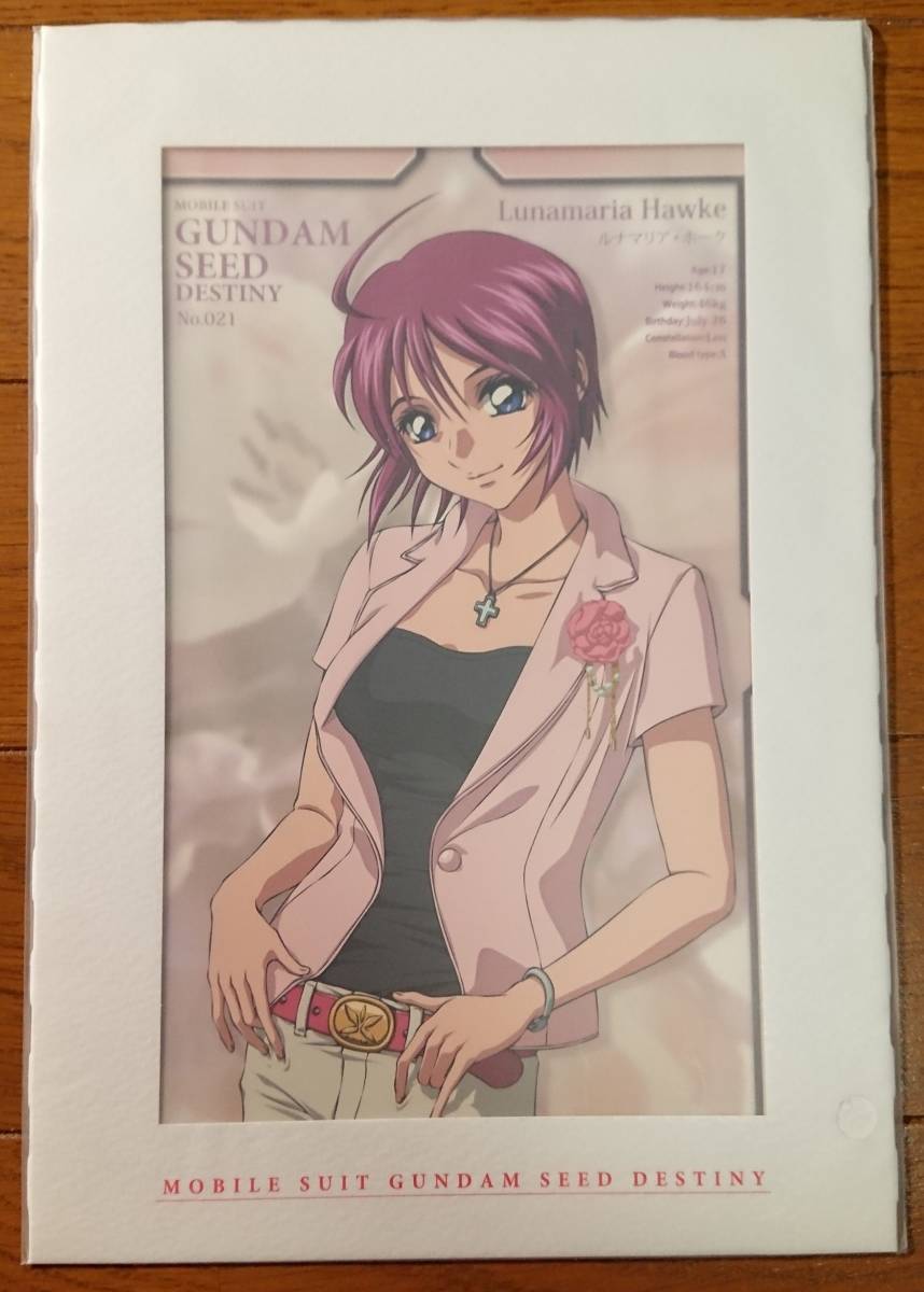 機動戦士ガンダムseed Destiny シンレイルナ ポートレート 驚きの値段 ポートレート 機動戦士ガンダムseed Destiny シンレイルナ ポートレート 驚きの値段 ポートレート