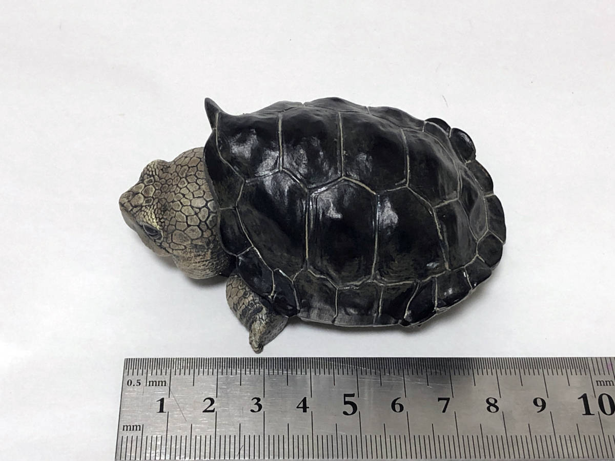 人気SALE，高品質 かわいい リクガメ フィギャア17 レジン製 10ｃｍ(生き物)｜売買されたオークション情報、yahooの商品情報をアーカイブ公開 - オークファン 生き物