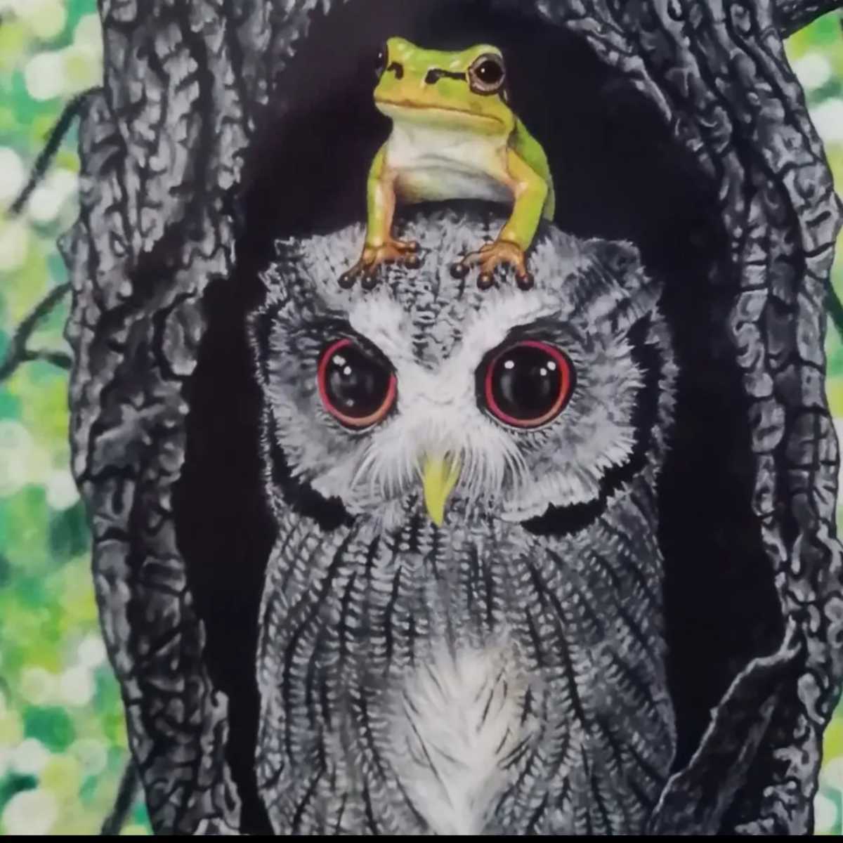 B5 手描きイラストプリント 絵 ふくろう フクロウ カエル かえる 猛禽類 両生類 森 可愛い ほのぼの 癒し 手描きイラスト 売買されたオークション情報 Yahooの商品情報をアーカイブ公開 オークファン Aucfan Com