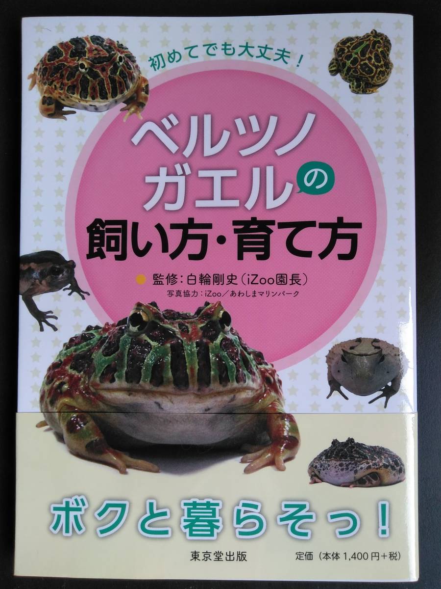 初めて も大丈夫 ベルツノガエルの飼い方 育て方 白輪剛史 基礎知識 飼育準備 実践 繁殖 ショップ 初版 帯付き 爬虫類 両生類 売買されたオークション情報 Yahooの商品情報をアーカイブ公開 オークファン Aucfan Com 初めて も大丈夫 ベルツノガエルの飼い方 育て方 白輪剛史 基礎知識 飼育準備 実践 繁殖 ショップ 初版 帯付き 爬虫類 両生類 売買されたオークション情報 Yahooの商品情報をアーカイブ公開 オークファン Aucfan Com