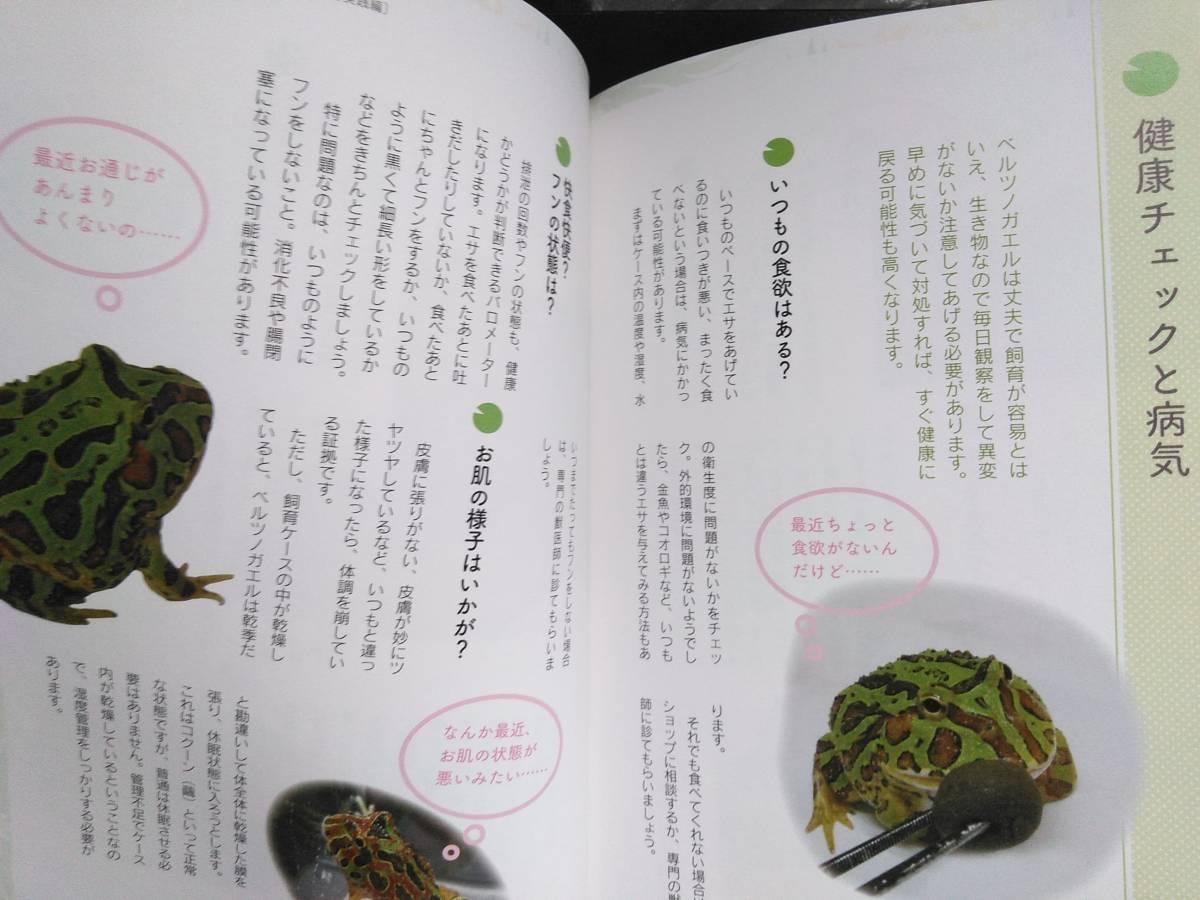 初めて も大丈夫 ベルツノガエルの飼い方 育て方 白輪剛史 基礎知識 飼育準備 実践 繁殖 ショップ 初版 帯付き 爬虫類 両生類 売買されたオークション情報 Yahooの商品情報をアーカイブ公開 オークファン Aucfan Com 初めて も大丈夫 ベルツノガエルの飼い方 育て方 白輪剛史 基礎知識 飼育準備 実践 繁殖 ショップ 初版 帯付き 爬虫類 両生類 売買されたオークション情報 Yahooの商品情報をアーカイブ公開 オークファン Aucfan Com