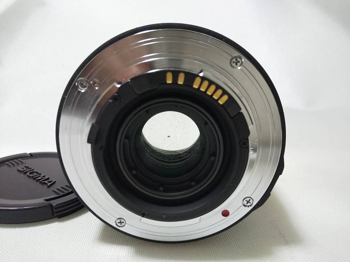 ☆外観新品級☆シグマ SIGMA 50mm F2.8 EX DG MACRO SAマウント用 #