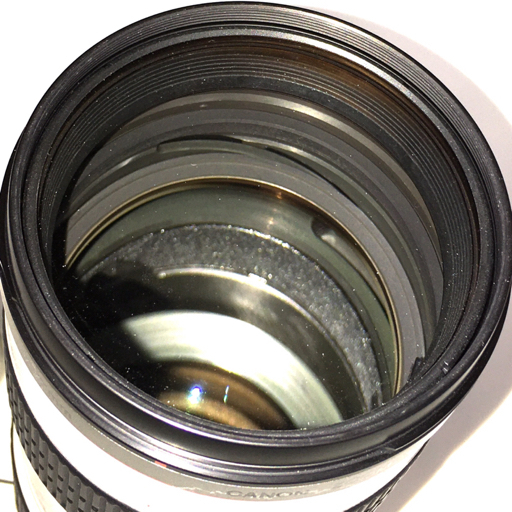 【本物保証，新作】 CANON ZOOM LENS EF 70-200mm 1:2.8 L ULTRASONIC カメラレンズ EFマウント キャノン