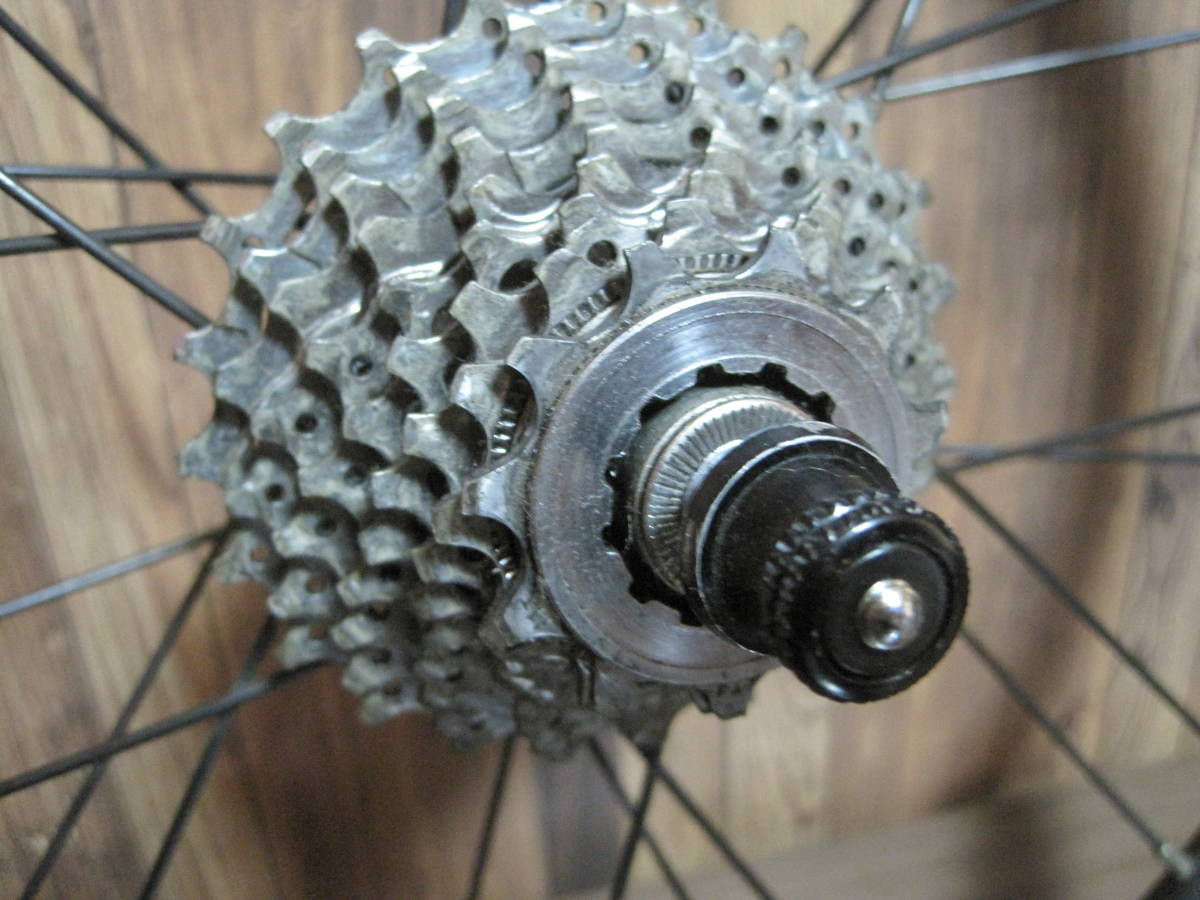 MOULTON AM-GT Moulton 17インチ Alex ALEX アレックス・モールトン 