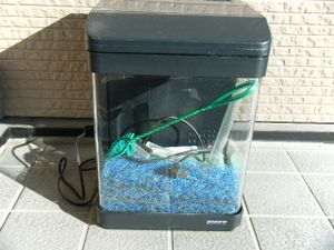 新作 ニッソールームメイト901 インテリア水槽 受賞店舗 Apio Admin Stylement Jp