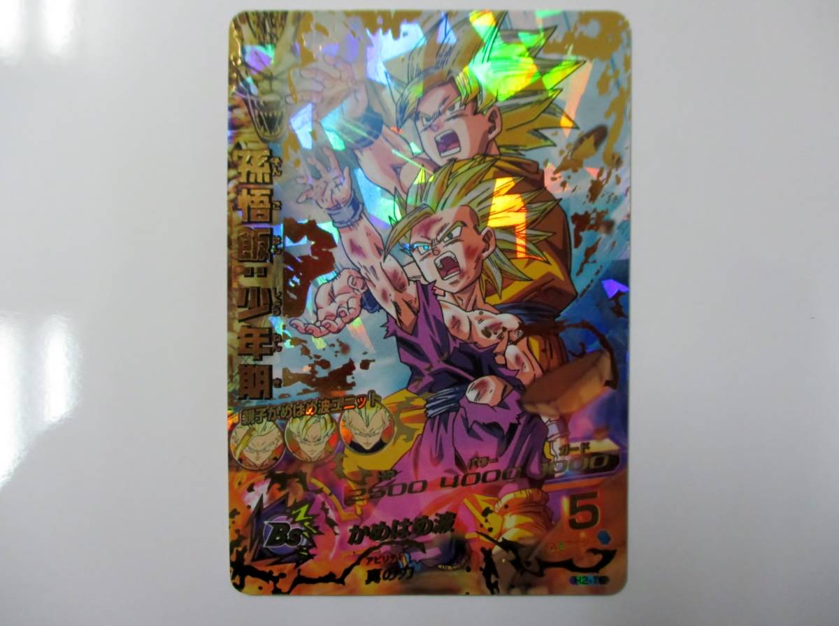 低価，定番人気 ④ H2-16 孫悟飯:少年期 孫悟飯 少年期 ドラゴンボールヒーローズ DBH 初期 旧弾(ドラゴンボールヒーローズ)｜売買されたオークション情報、yahooの商品情報をアーカイブ公開 - オークファン ドラゴンボールヒーローズ