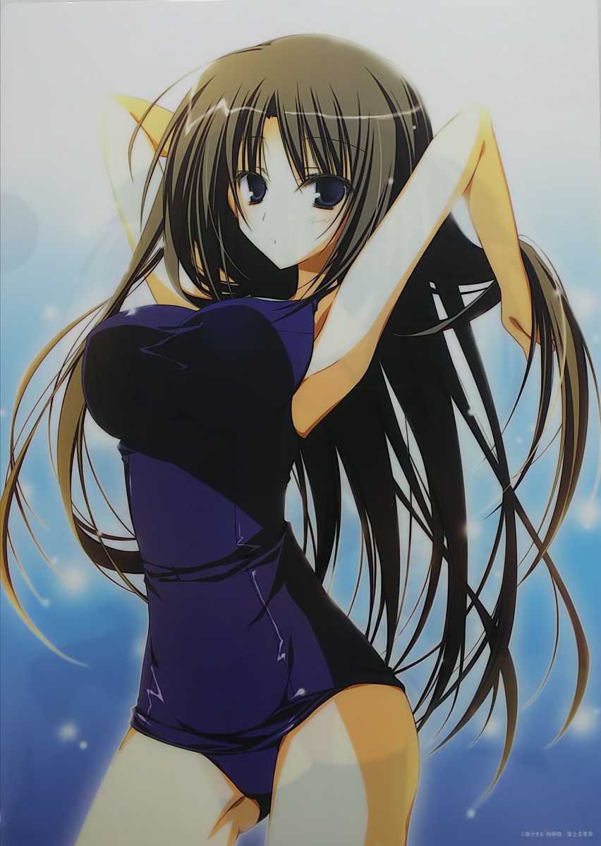 紅葉知弦 椎名深夏 生徒会の一存 ａ４ アニメクリアファイル 同梱可 クリアファイル 売買されたオークション情報 Yahooの商品情報をアーカイブ公開 オークファン Aucfan Com