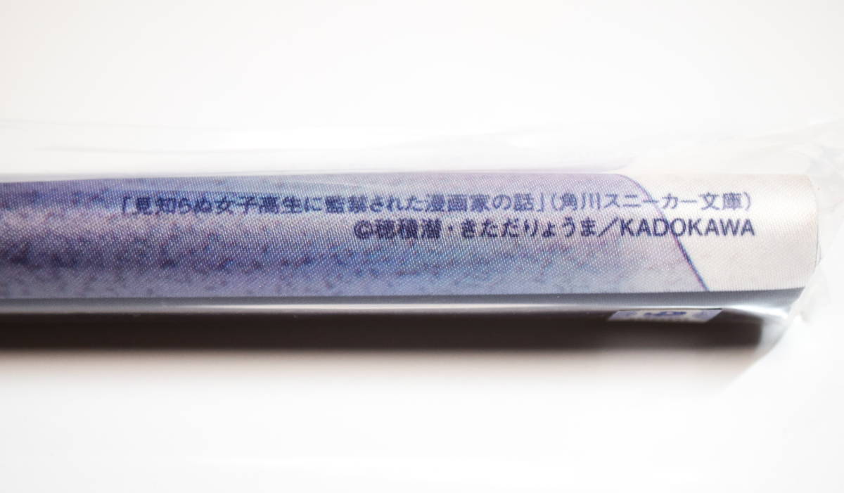 ▽【未開封品】特製B2タペストリー 『見知らぬ女子高生に監禁された 