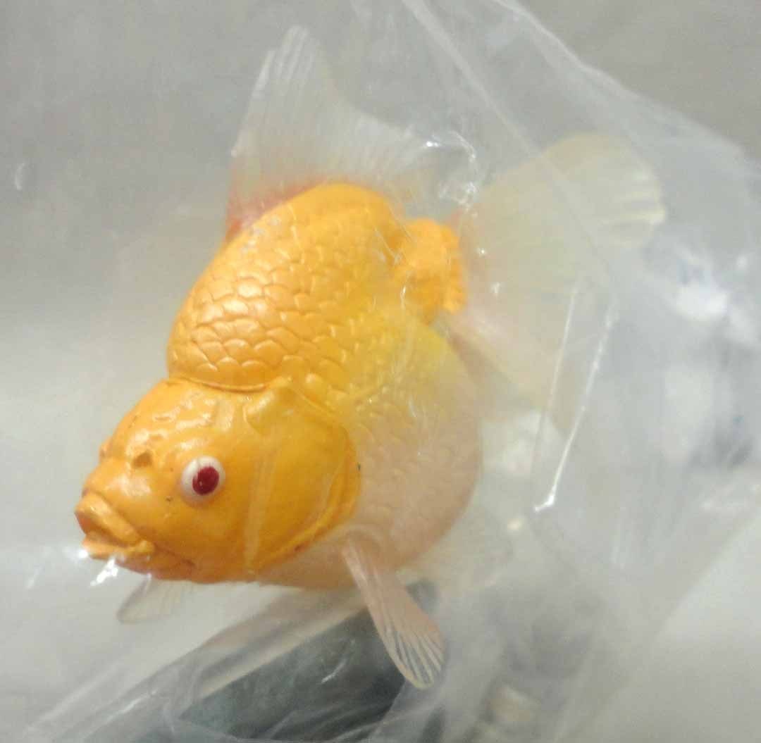 原色観賞魚図鑑I 改訂増補版 シークレット エドアカネ 未開封 キンギョ