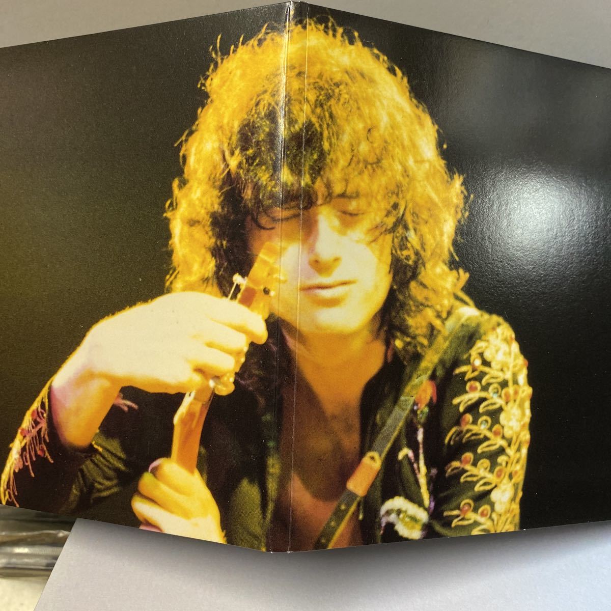 Led ZEPPELIN Zeppelin LED Down TARANTURA Leded⁄VIENNA TARANTURA 
