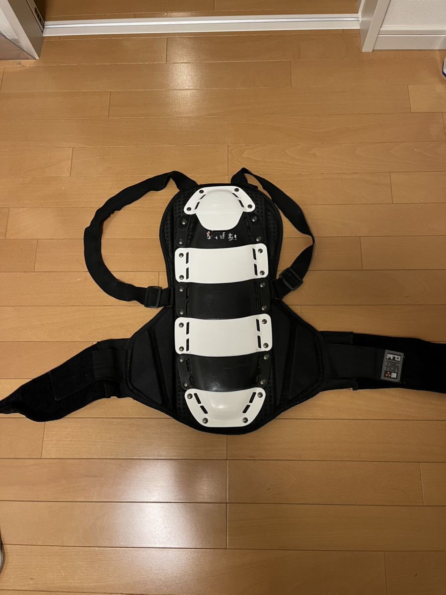 Ebs Eb S プロテクター 背中用 スノーボード スキー パーク ハーフパイプ キッカー レール ジャンプ 転倒 怪我防止 プロテクター 売買されたオークション情報 Yahooの商品情報をアーカイブ公開 オークファン Aucfan Com