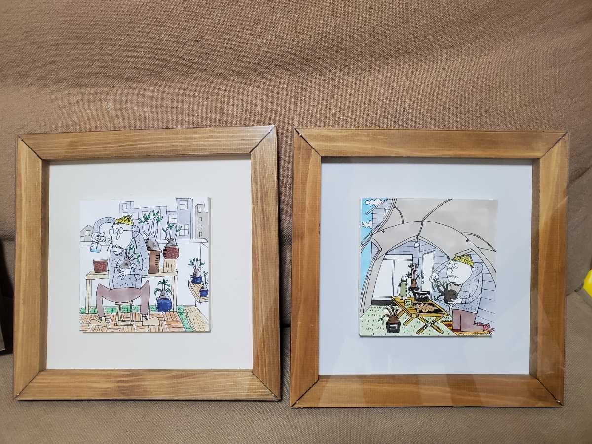 ono5s 原画　アウトドア　パキポディウムグラキリス　オノゴス ono5s 原画 アウトドア パキポディウムグラキリス オノゴス