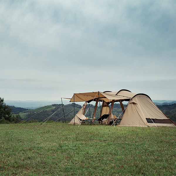 SABBATICAL アルニカ 2回使用 （送料無料】サバティカル アルニカ  