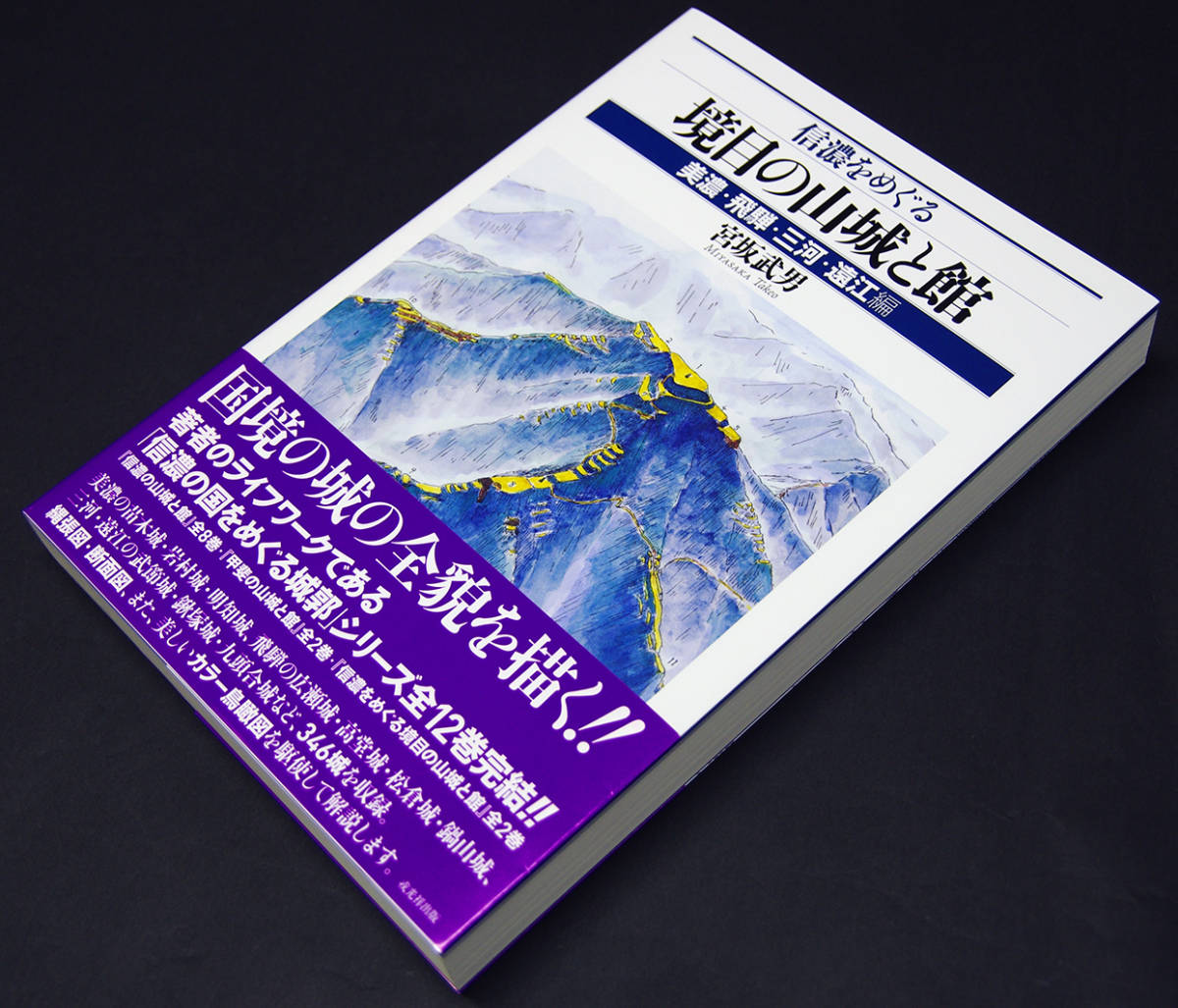 新品】信濃をめぐる境目の山城と館 美濃・飛騨・三河・遠江編 信濃を