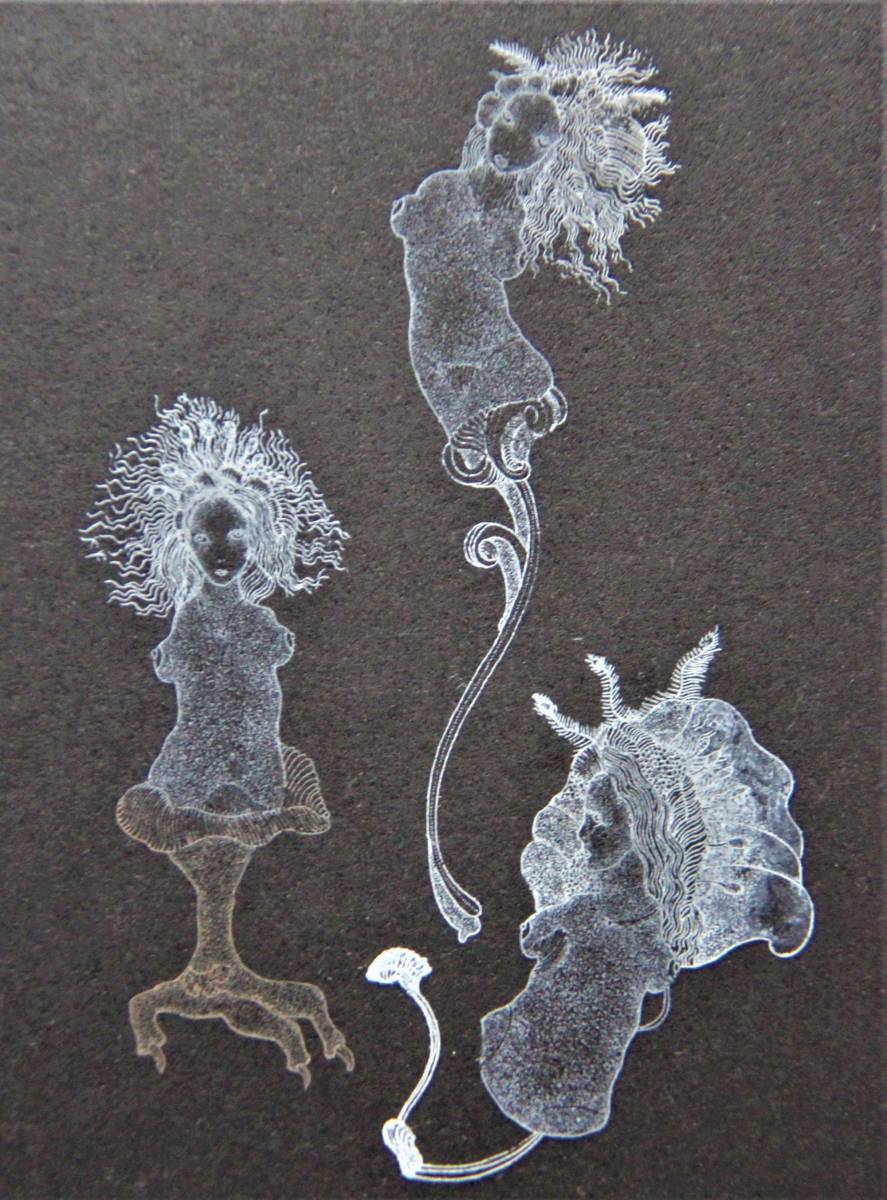 山下清澄 『LES CHIMERES 160・118-9』銅版画 直筆サイン 山下清澄