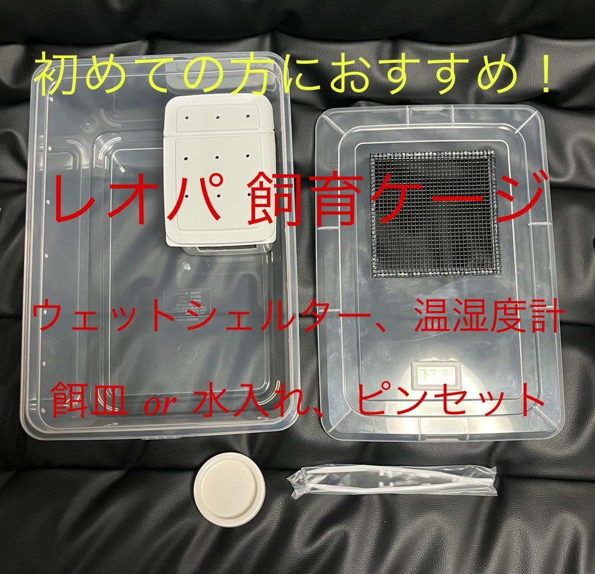 【お買い得，お得】 小型爬虫類 レオパ ヒョウモントカゲモドキ ニシアフ ニシアフリカトカゲモドキ 飼育ケース 飼育ケージ(飼育ケース)｜売買されたオークション情報、yahooの商品情報をアーカイブ公開 - オー 飼育ケース