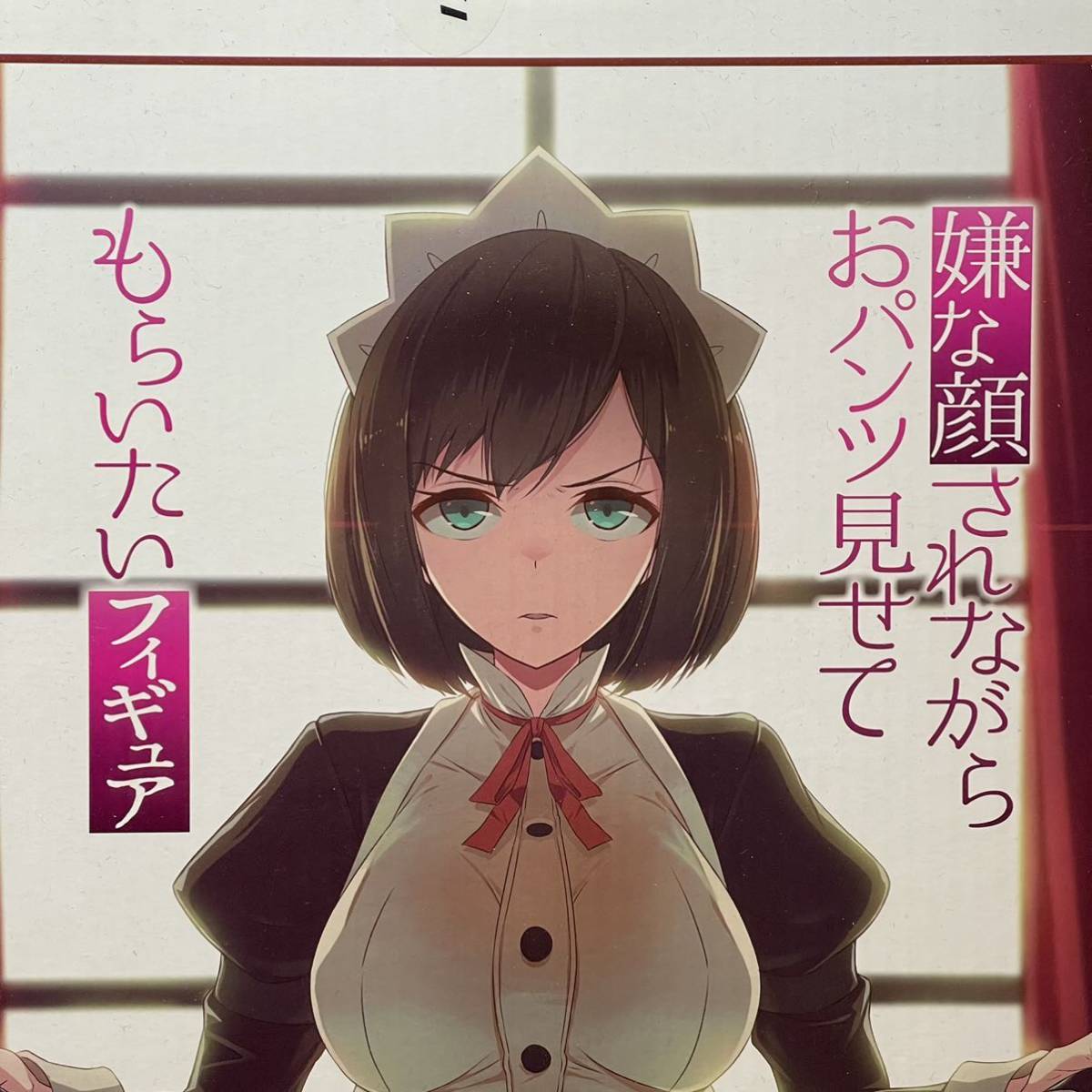 未開封】伊東ちとせ 嫌な顔されながらおパンツ見せてもらいた 