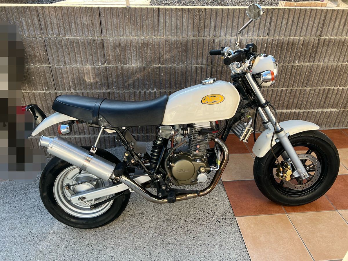 モンキー エイプ他 正規品直輸入