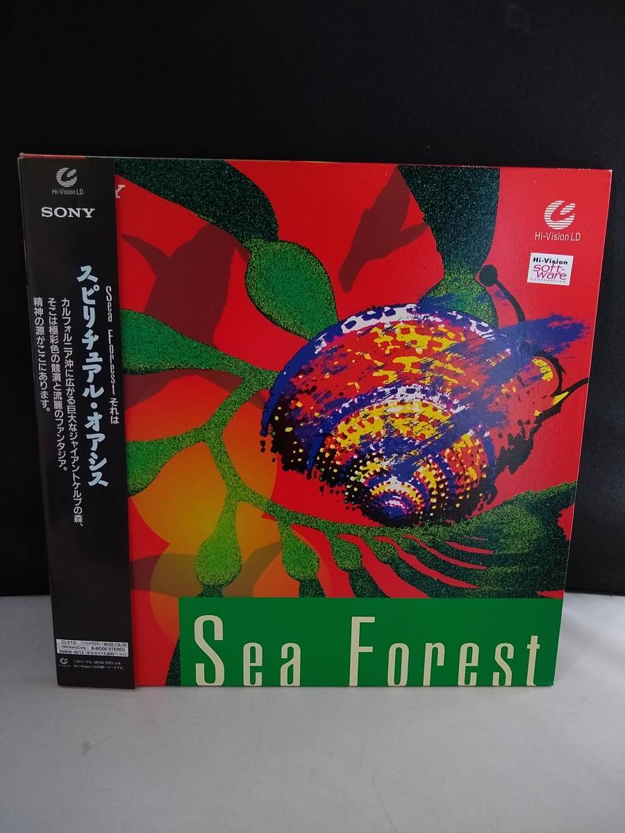 125 Hi Vision Ld ハイビジョン レーザーディスク スピリチュアル オアシス ジャイアントケルプ アクション アドベンチャー 売買されたオークション情報 Yahooの商品情報をアーカイブ公開 オークファン Aucfan Com