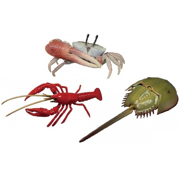 みずべのなかま あたらしいなかま編 全3種 セット シオマネキ アメリカザリガニ カブトガニ フィギュア ガチャ 可動 脱着 脱皮 生き物 売買されたオークション情報 Yahooの商品情報をアーカイブ公開 オークファン Aucfan Com みずべのなかま あたらしいなかま編 全3種 セット シオマネキ アメリカザリガニ カブトガニ フィギュア ガチャ 可動 脱着 脱皮 生き物 売買されたオークション情報 Yahooの商品情報をアーカイブ公開 オークファン Aucfan Com