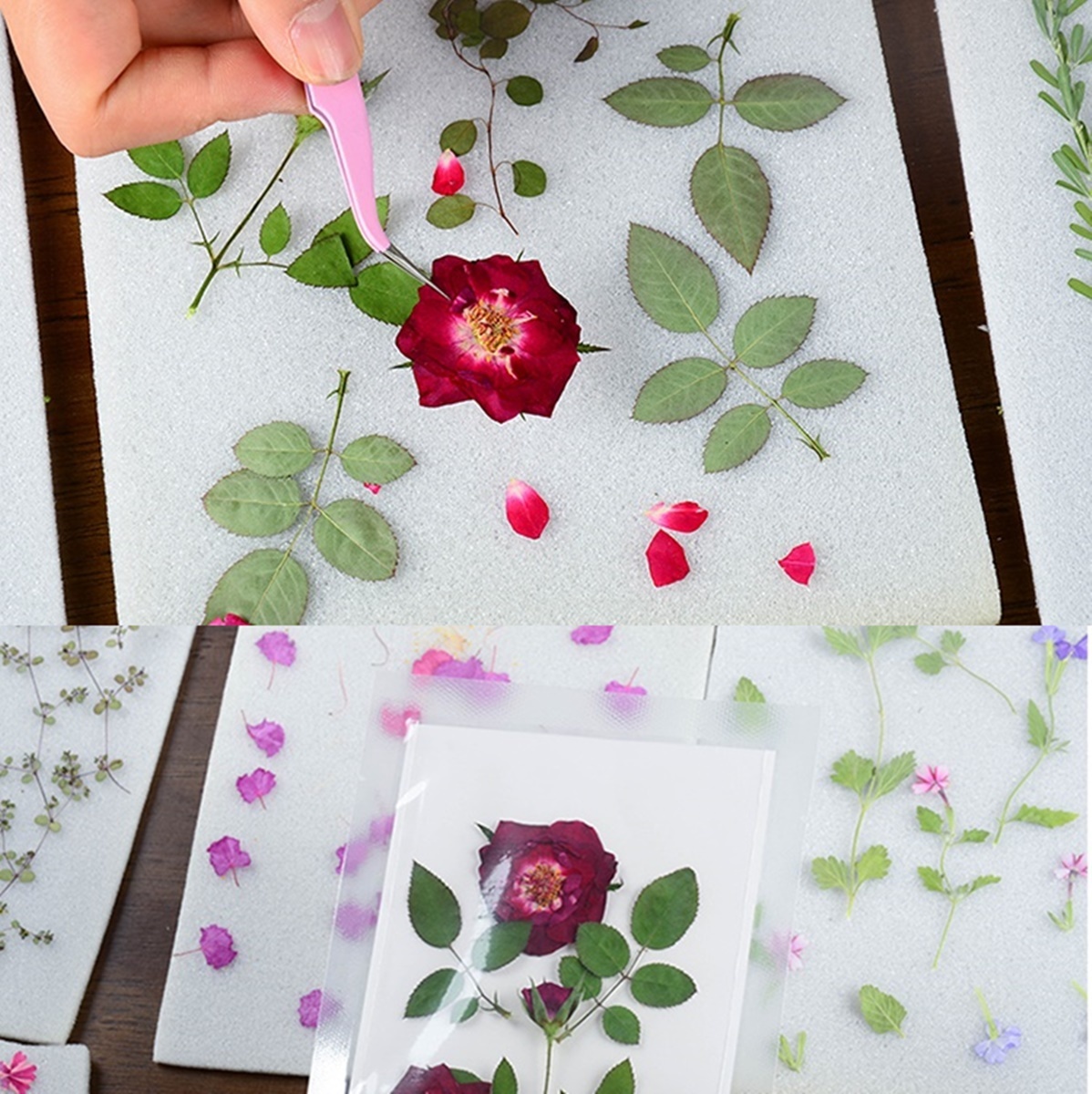 フラワープレスキット 押し花キット しおり 押花プレス機 押し花シート 押し花本 押し花 売買されたオークション情報 Yahooの商品情報をアーカイブ公開 オークファン Aucfan Com