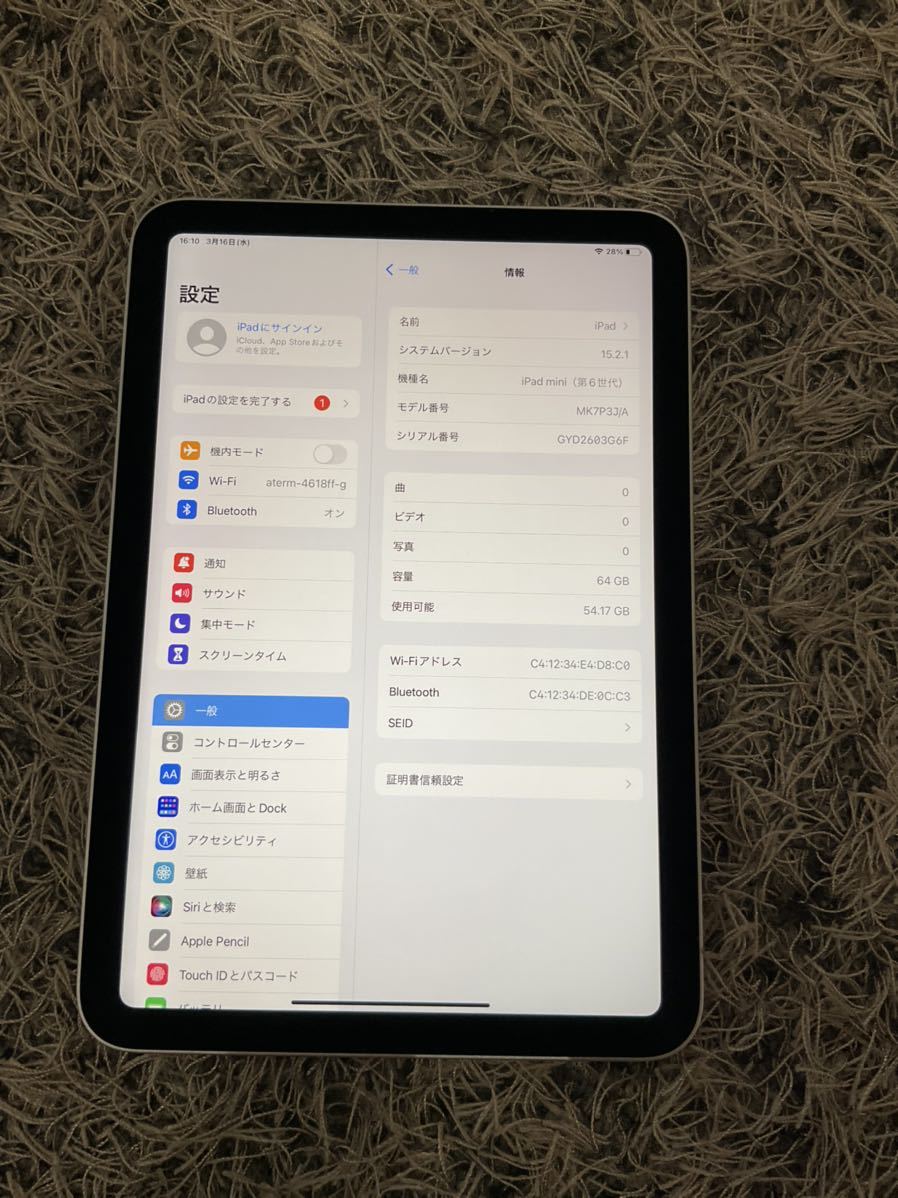 ジャンク】iPad mini 生ぬるい 第6世代 セルラー 64GB 画面ひび割れ
