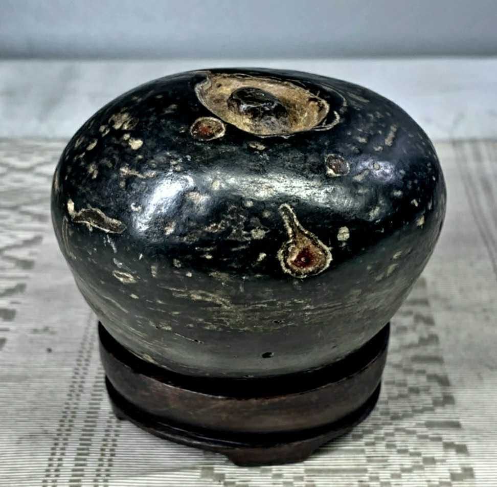 信濃美術石博物館】水石 盆栽 骨董 室戸鉄丸石 ウブ 横7×高7×奥行6(cm
