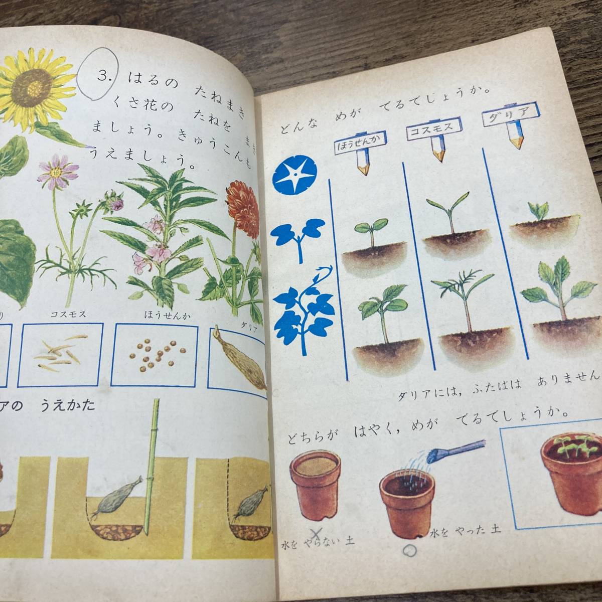 G-5898□小学校 りか 2年 昭和45年発行（1970年）小学校 理科□学校