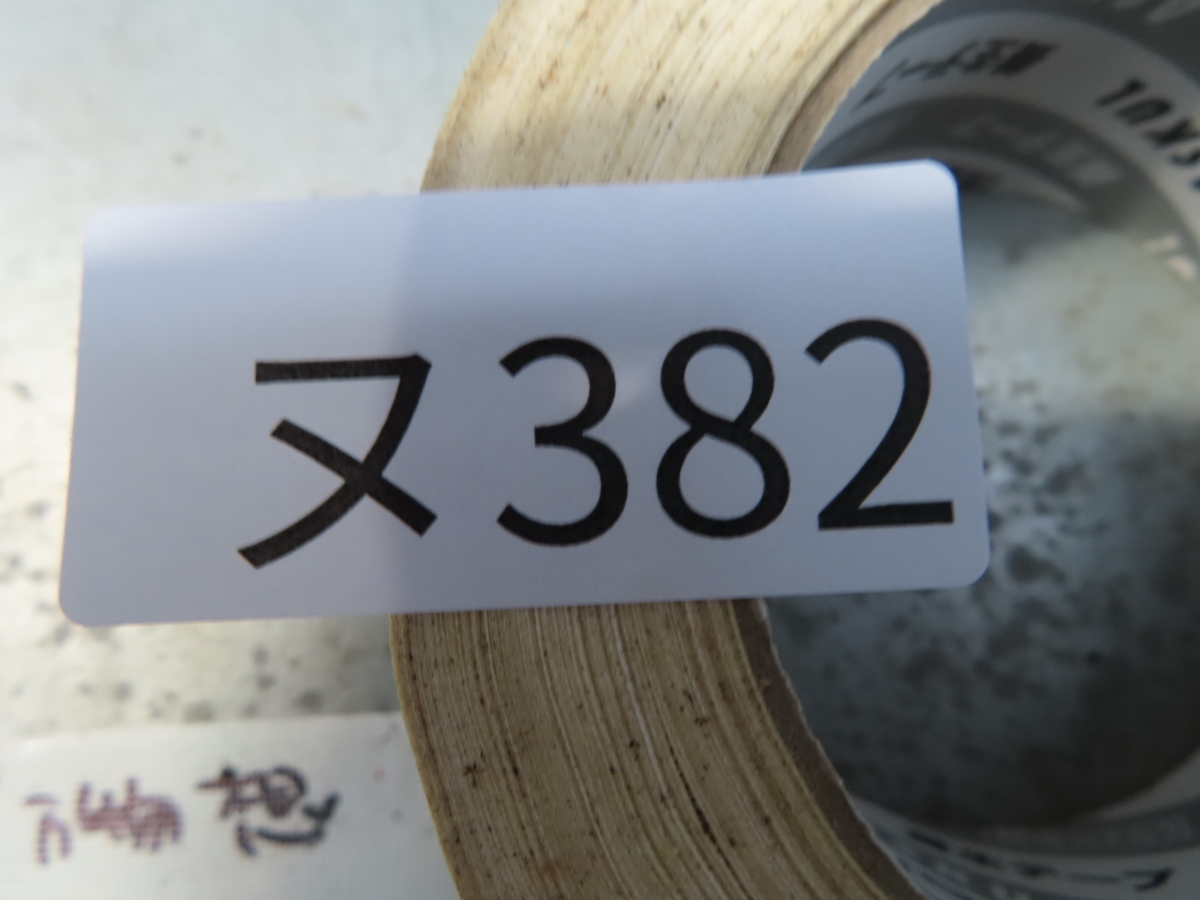 ヌ382「現地株」チレコドン レティキュラータス 万物想 小 抜き苗