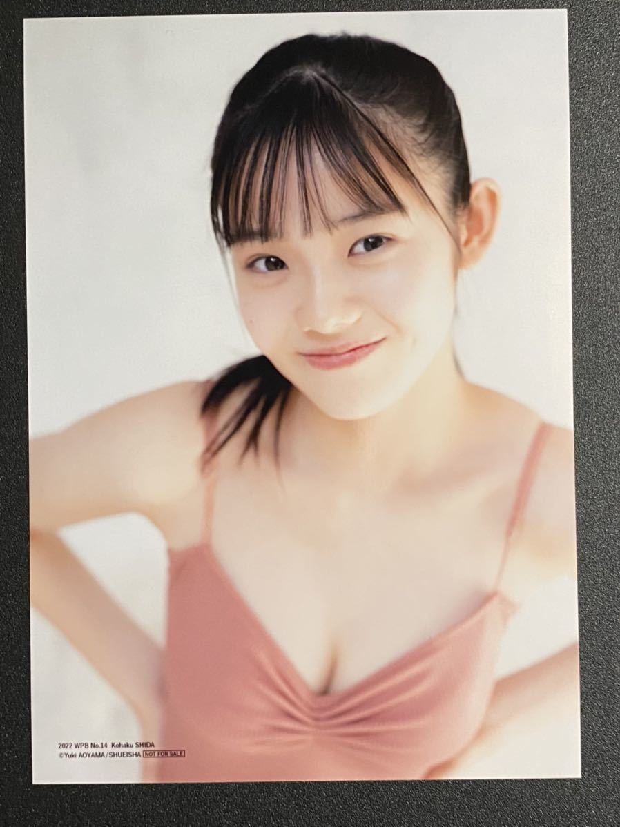 志田こはく 限定 生写真 購入特典 2L判 e 週刊プレイボーイ No.14 2022