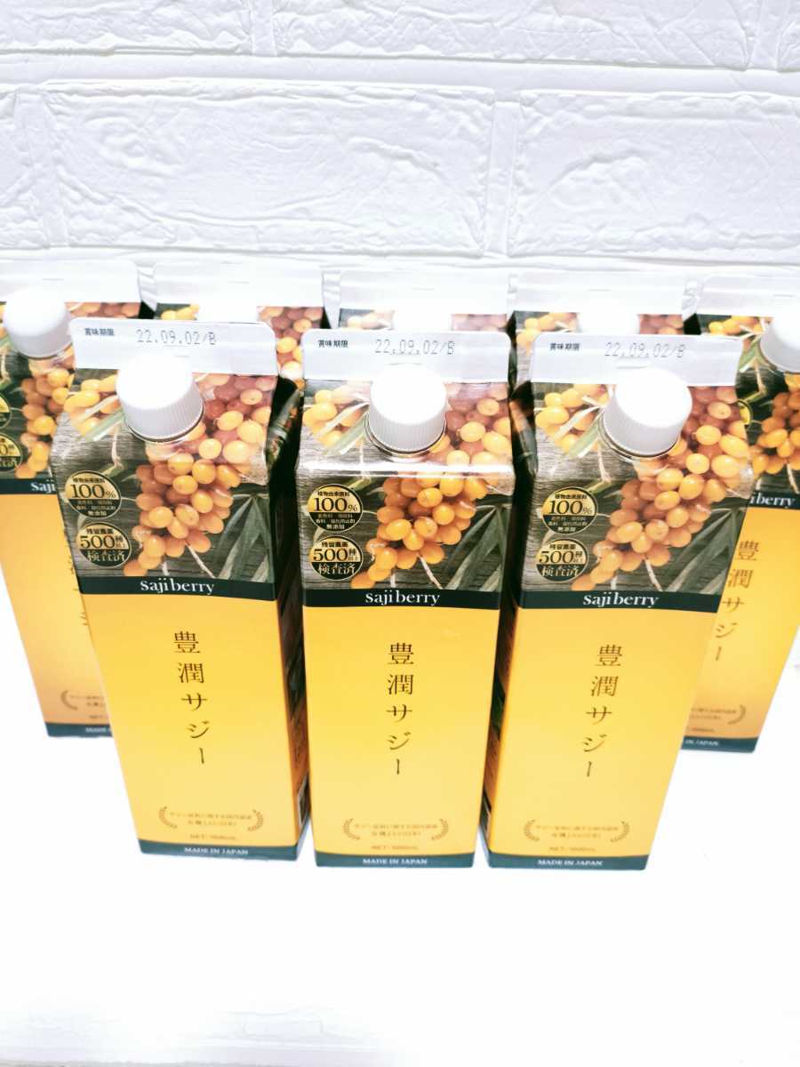 健康飲料 フィネス 豊潤サジー 1000ml×3 300ml×2