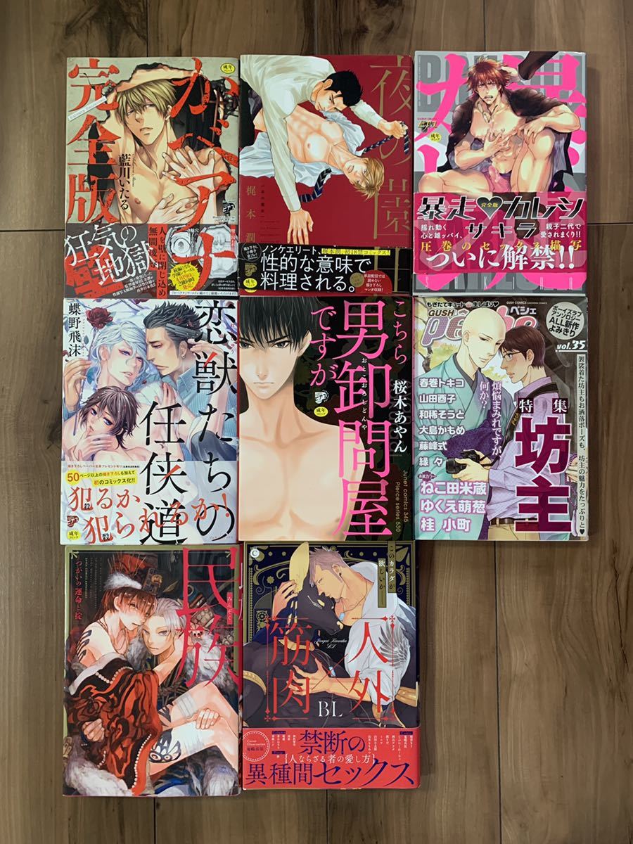 【限定セール，大人気】 ワイド版8冊セット アンソロ かべアナ 梶本潤イクヤス羽純ハナ松基羊斑まだちしゃの実 BLコミック(ボーイズラブ)｜売買されたオークション情報、yahooの商品情報をアーカイブ公開 - オーク ボーイズラブ