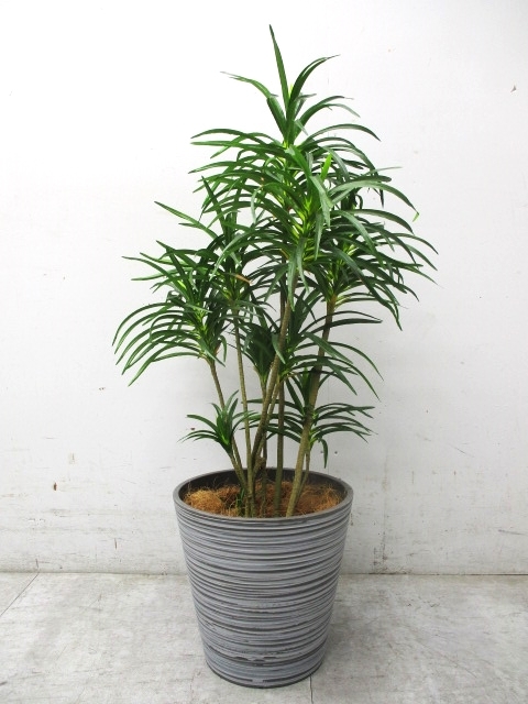 T9693B□モデルルーム展示品□特大□高さ1050mm□フェイクグリーン 