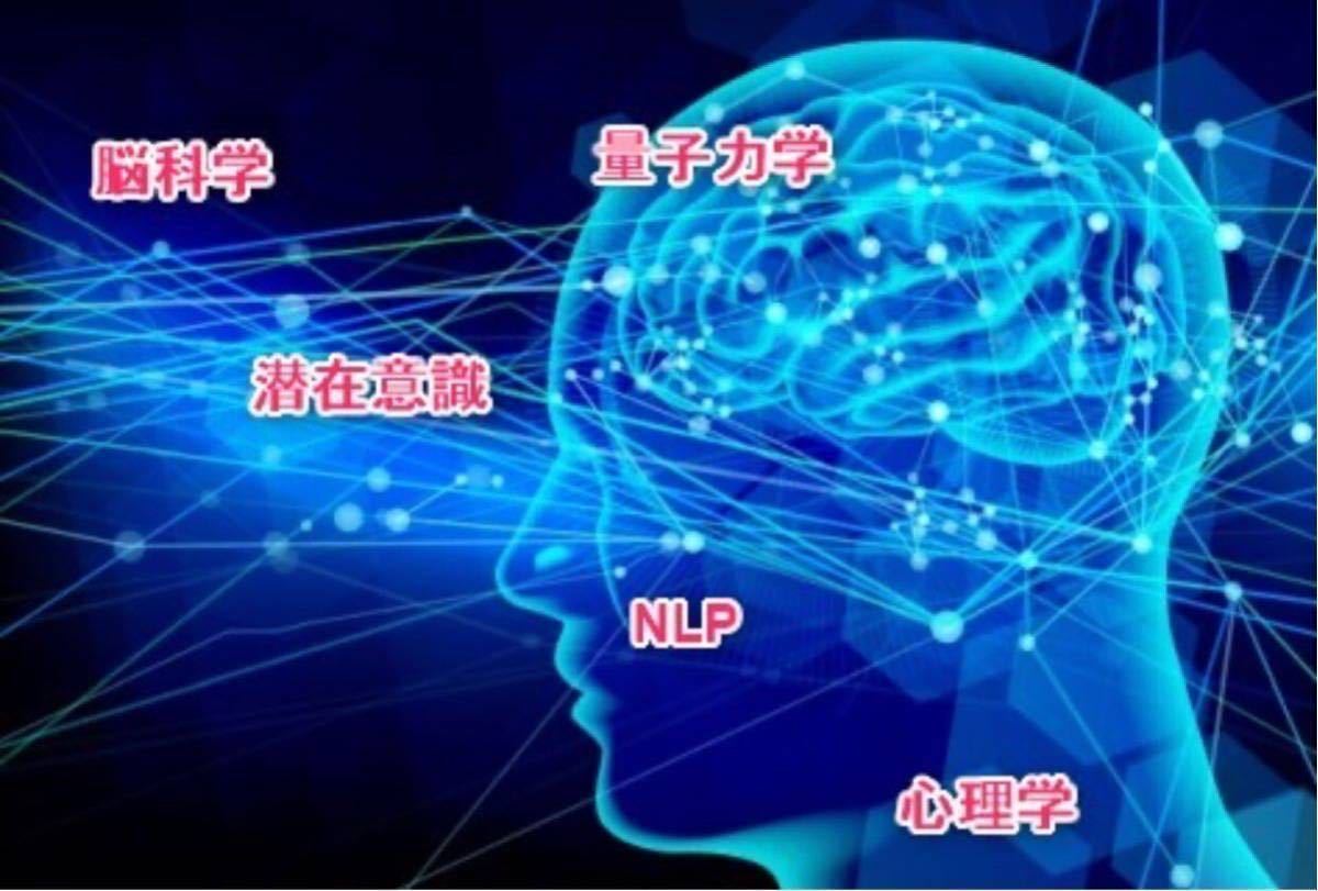 苫米地英人 特殊音源 特典映像 脳科学 心理学 コーチング 潜在意識 自己啓発教材 自己啓発 売買されたオークション情報 Yahooの商品情報をアーカイブ公開 オークファン Aucfan Com